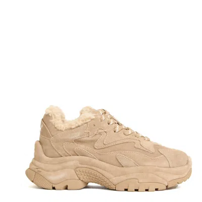 Ash Beige Suede Sneakers With Plush Faux Fur Lining In Multi
