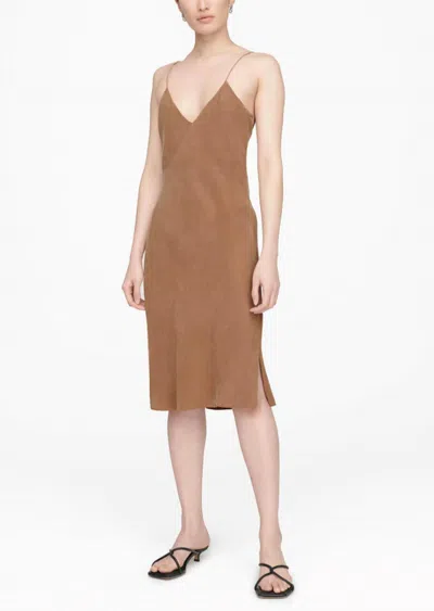 Anine Bing Bay Dress In Camel In Blue