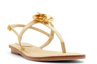 Ted Baker Women's Harper Rose Strappy Sandals In Natural In Neutral