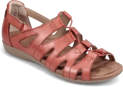 Earth Origins Women's Belder Bea Sandal In Ginger Spice In Pink