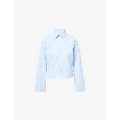 Won Hundred Mens Blue Stripe Fernanda Stripe Cotton Shirt In Blue