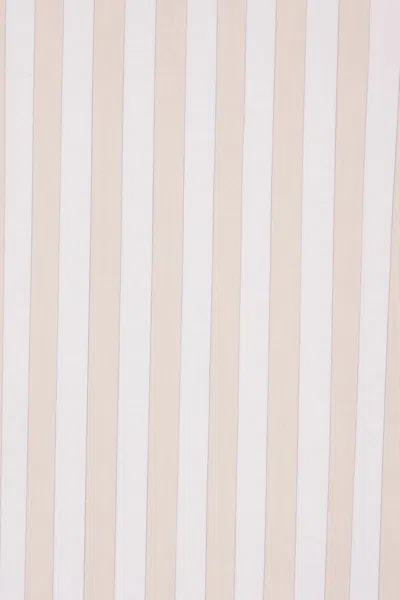 Saint Laurent Beige Striped Shirt In Neutral