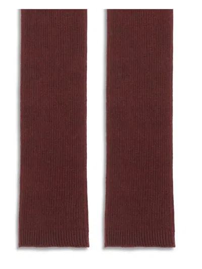 Sa Su Phi Long Ribbed Knit Gloves In Deep Burgundy Shade In Brown