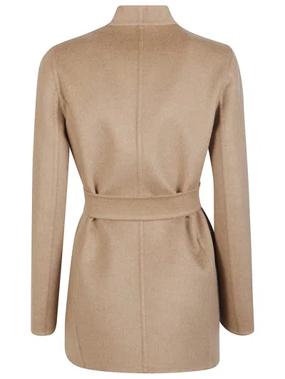 Max Mara Harold Jacket In Brown