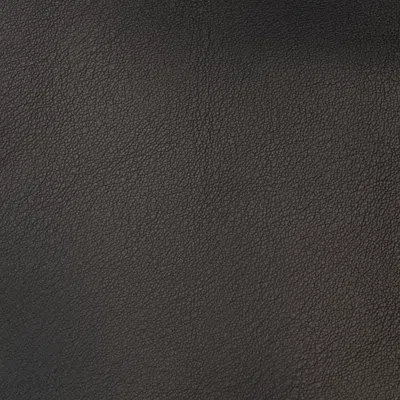 Roberto Cavalli - Female Bags Black Unica In Black