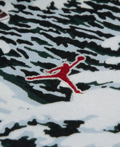 Jordan Kids' Brooklyn Holiday Fleece Hoodie In Neutral