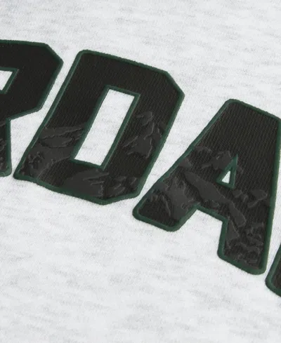 Jordan Boys Toddler 2t-4t 2-piece Long-sleeve Hoodie And Jogger Pants Set In Gray