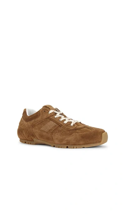 Alohas Tb.56 Low-top Suede Sneakers In Brown