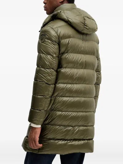 Blauer Long-sleeve Coat In Green