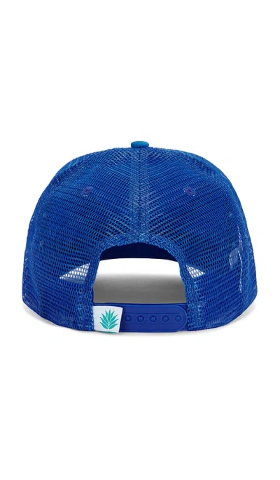 Sendero Provisions Co. X Whataburger Ropin' Trucker Hat In Multi