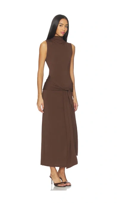Nia Victoria Dress In Brown