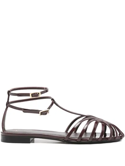 Alevì Strappy Buckled Sandals In Burgundy