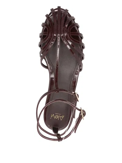 Alevì Strappy Buckled Sandals In Burgundy