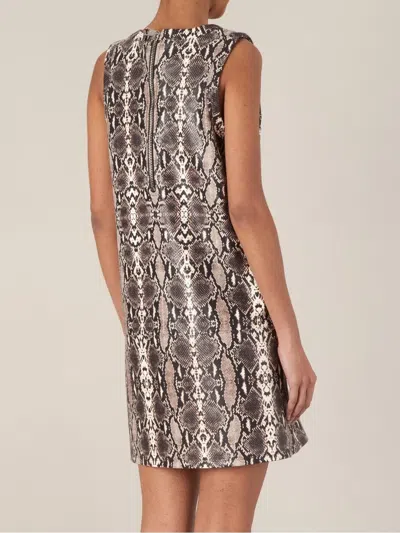 Neil Barrett Python Print Shift Dress In Brown