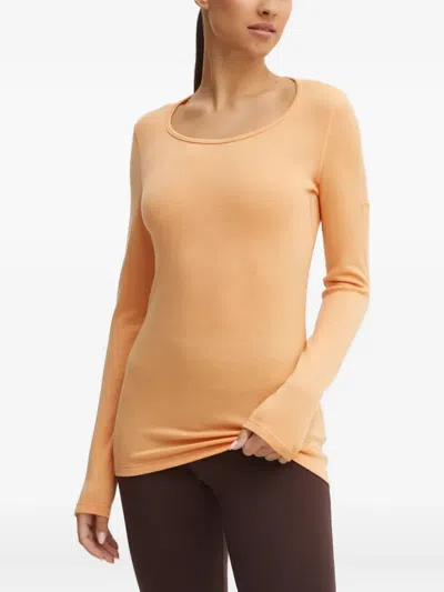 Icebreaker Long-sleeve Round-neck Top In Orange