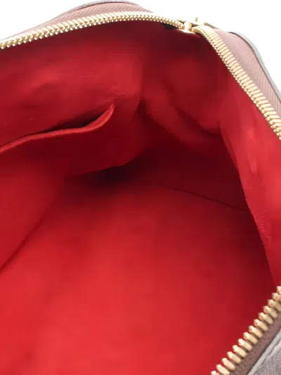 Pre-owned Louis Vuitton 2010 Damier Ebene Trevi Pm Tote Bag In Brown