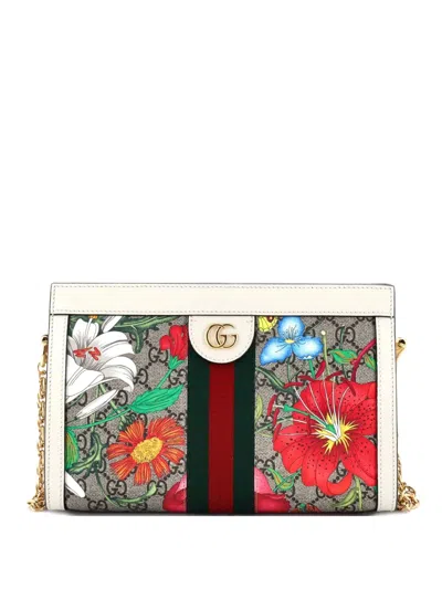Pre-owned Gucci Ophidia Chain Shoulder Bag Flora Gg Coated Canvas Small Crossbody Bag In Neutral