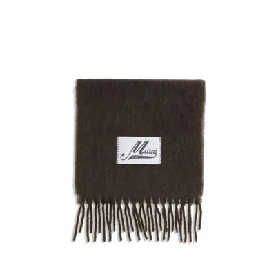 Marni Fringed Scarf In Brown
