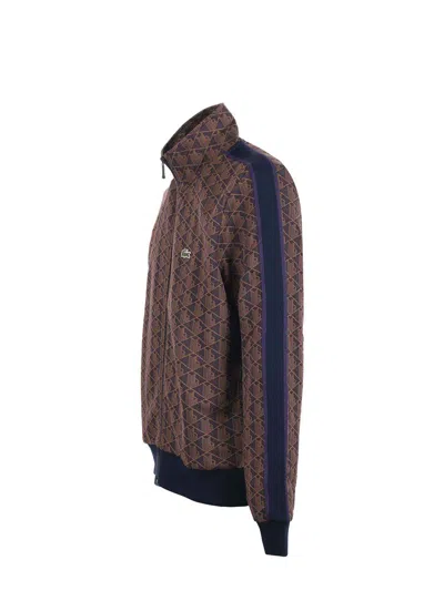 Lacoste Sweaters In Multi