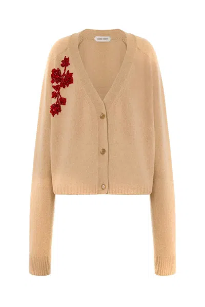 Alberta Ferretti V-neck Long Sleeve Knitwear Embroidered Detail In Neutral