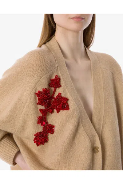 Alberta Ferretti V-neck Long Sleeve Knitwear Embroidered Detail In Neutral