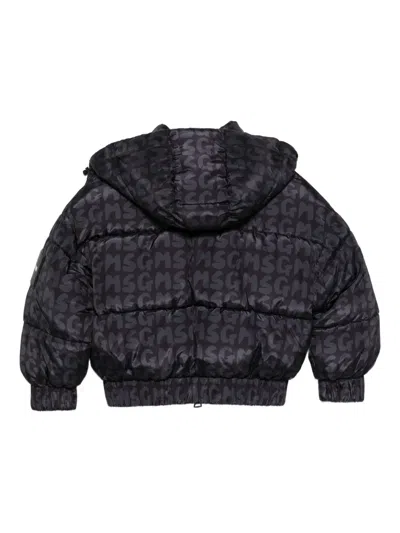 Msgm Logo-print Puffer Jacket In Black