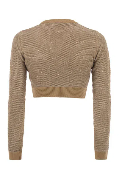 Elisabetta Franchi Sequin Knit Top In Brown