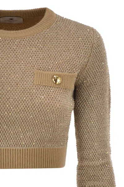 Elisabetta Franchi Sequin Knit Top In Brown