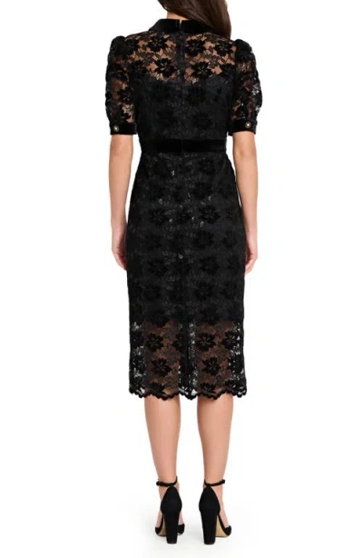 Tahari Asl Metallic Lace & Velvet Shirtdress In Black
