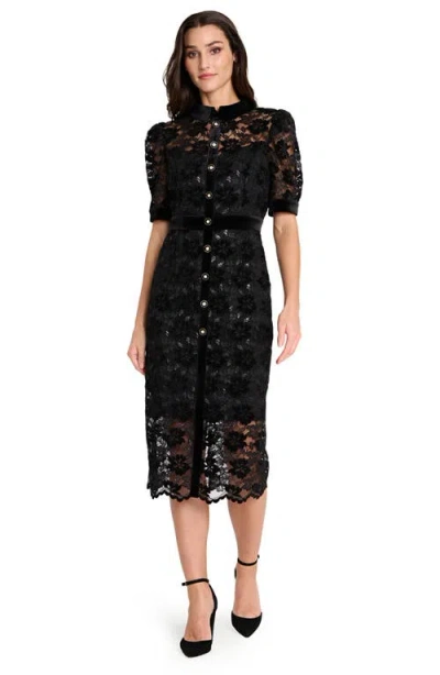 Tahari Asl Metallic Lace & Velvet Shirtdress In Black