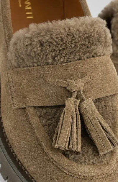 Lk Bennett Shirley Genuine Shearling Tassel Loafer In Brown