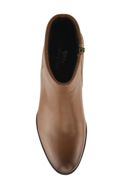Spring Step Talpa Bootie In Brown