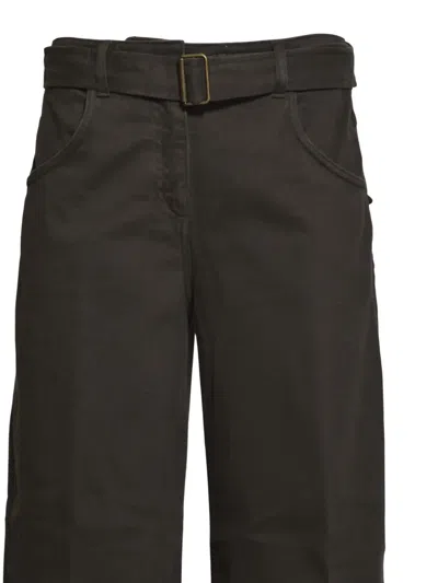 True Royal Belted Trousers In Brown