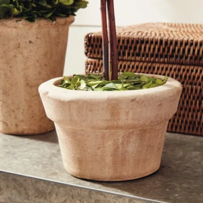 Napa Home & Garden Set Of 8 Topiaries In Green