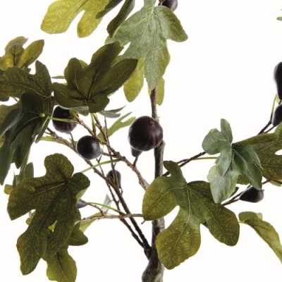 Napa Home & Garden Fig Tree With Figs Potted Drop-in 34" In Green