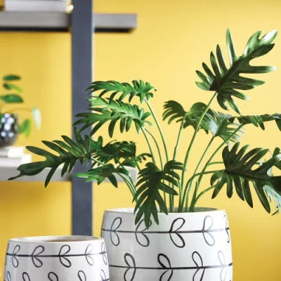 Napa Home & Garden Split Leaf Selloum Drop-in 22.5" In Green