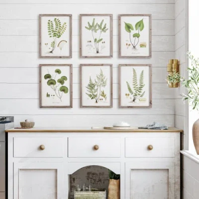 Napa Home & Garden Set Of 6 Shade Garden Study Prints In Green