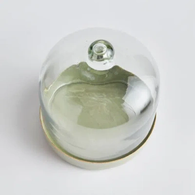 Napa Home & Garden Kammie Serving Tray With Cloche Small In Green