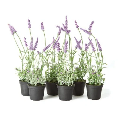 Napa Home & Garden 13in French Lavender Drop-in Set In Black