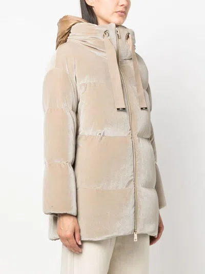 Herno Padded Velour Hooded-jacket In Neutral