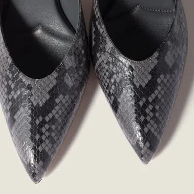 Miu Miu Ardesia Pumps In Ayers Python-print Leather In Black