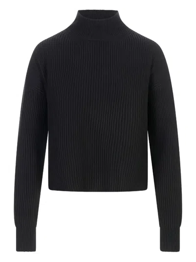 Max Mara Ribbed Funnel-neck Sweater In Blue