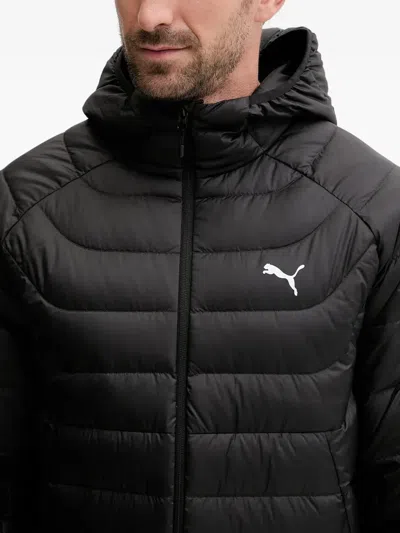 Puma Packlite Hooded-logo Jacket In Black