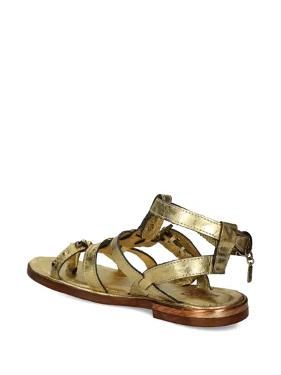 As98 Grant Studded Buckled Flat Sandals In Gold