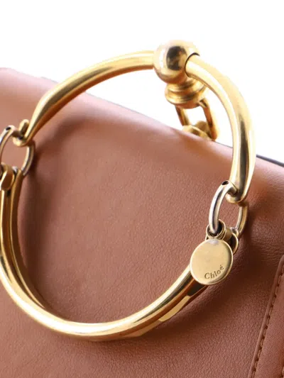 Pre-owned Chloé Nile Leather Medium Crossbody Bag In Brown