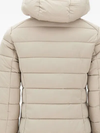 Save The Duck Removable-hood Padded Coat In Neutral