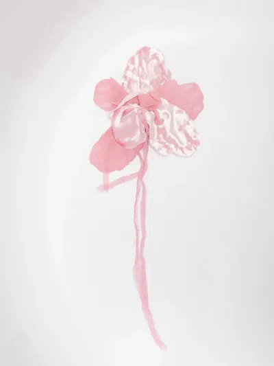 Alberta Ferretti Flower Brooch In Pink