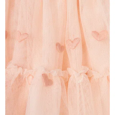 Stella Mccartney Kids Hearts Embroidered Tulle Skirt In Pink