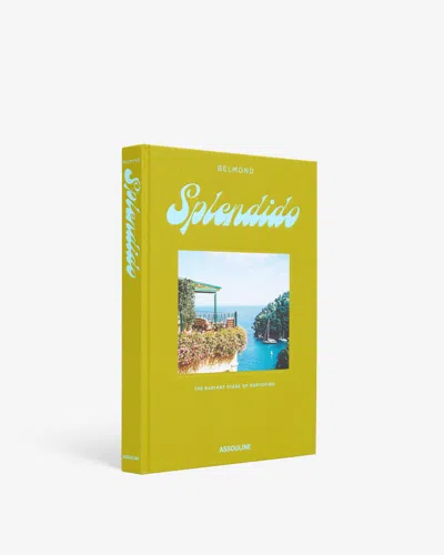 Assouline Splendido: The Radiant Stage Of Portofino