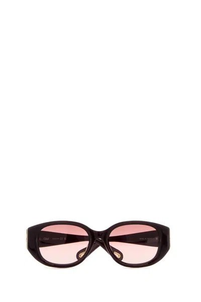 Chloé Chloe Women Burgundy Acetate Sunglasses